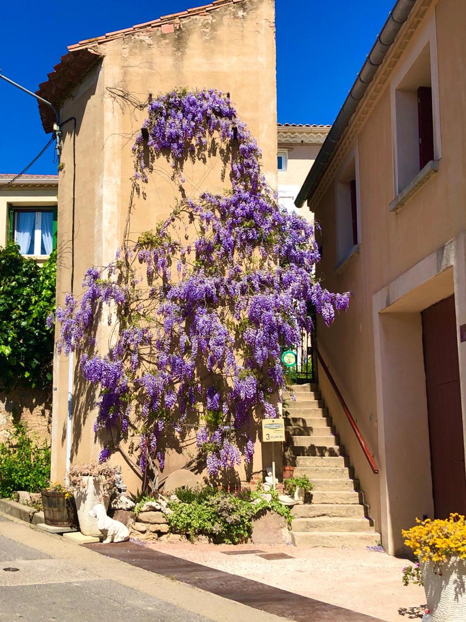 Maison Du Midi, 2 De Charme *